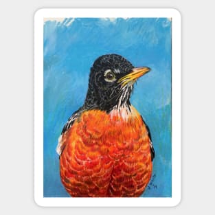 American Robin Bird Drawing Sticker